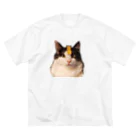 コンドーショップのシャトーブリアン猫 ビッグシルエットTシャツ