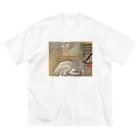 飼い主の浮世猫 Big T-Shirt