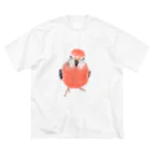 アキクサインコとウロコインコのアキクサインコ Big T-Shirt