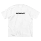 3.141592の838861 Big T-Shirt