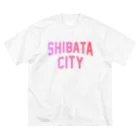 JIMOTOE Wear Local Japanの新発田市 SHIBATA CITY Big T-Shirt
