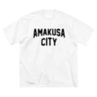 JIMOTOE Wear Local Japanの天草市 AMAKUSA CITY ビッグシルエットTシャツ