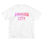 JIMOTOE Wear Local Japanの天草市 AMAKUSA CITY ビッグシルエットTシャツ