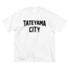 JIMOTOE Wear Local Japanの館山市 TATEYAMA CITY ビッグシルエットTシャツ