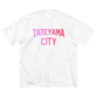 JIMOTOE Wear Local Japanの館山市 TATEYAMA CITY ビッグシルエットTシャツ