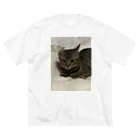 腹痛のねむぽんこ Big T-Shirt