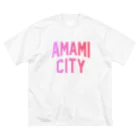 JIMOTOE Wear Local Japanの奄美市 AMAMI CITY ビッグシルエットTシャツ