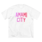 JIMOTOE Wear Local Japanの奄美市 AMAMI CITY Big T-Shirt