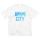 JIMOTOE Wear Local Japanの奄美市 AMAMI CITY ビッグシルエットTシャツ