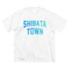 JIMOTOE Wear Local Japanの柴田町 SHIBATA TOWN Big T-Shirt