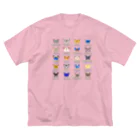 HIGARI BLUEの日本の蝶 Butterflies of Japan 2（南西諸島 Nansei Islands）★英名、和名、学名 [ライトカラー] ビッグシルエットTシャツ