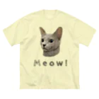 いきもの大好き！ほほえみフレンズのネコちゃんの可愛い！ ビッグシルエットTシャツ
