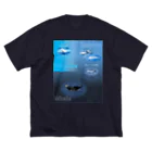 L_arctoaのイルカとクジラの違い ビッグシルエットTシャツ