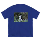 はっちゃんhachiko8535のhachiko_1 Big T-Shirt