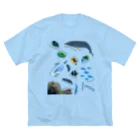 L_arctoaの沖縄の海の生き物 Big T-Shirt