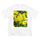 akane_art（茜音工房）の癒しの風景（オウバイ） Big T-Shirt