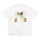 猫ねむりzzz..の鼻ブチ猫ちゃんスケッチ風 Big T-Shirt