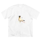 猫カフェ ぶぅたんグッズショップのミロくんおじさん座り ビッグシルエットTシャツ