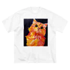 Ange Fleur （アンジュフルール）のSunstone Cat（サンストーン キャット） ビッグシルエットTシャツ