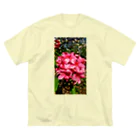 Hawaii Picturesのプルメリア🌺 ビッグシルエットTシャツ
