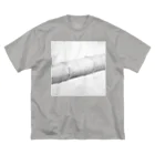 39Sの竹 Big T-Shirt