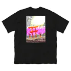 AkironBoy's_Shopの晴と⛩ Big T-Shirt