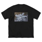 mothofthesunのHAsU 黒 ビッグシルエットTシャツ