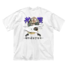 暗暗裏の神眼－Godeyes－ ビッグシルエットTシャツ