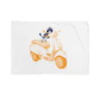 N谷スタジオのチワワのすっちゃんバイクに乗る Blanket