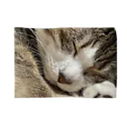 あゆのしおやきの猫(キジシロ) Blanket