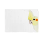 mariechan_koboの002 オカメインコチラリ Blanket