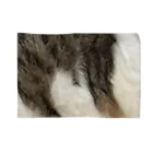 綾四季の綾四季／猫の毛柄004 Blanket