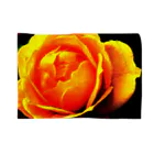 Anna’s galleryのYellow Rose ブランケット