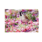“すずめのおみせ” SUZURI店の桜の絨毯 ブランケット