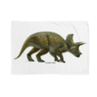 segasworksのTriceratops horridus(トリケラトプス ・ホリドゥス)着彩画 ブランケット