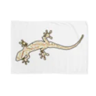 LalaHangeulのJapanese gecko(ニホンヤモリ)　英語デザイン ブランケット