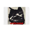 kk-welcomeの黒猫登場Ⅰ Blanket
