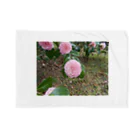 fun timeのPale pink camelia blooming　カメリア Blanket