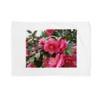 fun timeのPink camelia blooming カメリア Blanket