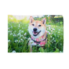 shibainu_rocoの柴犬ロコ Blanket