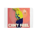 .am（officialshop）のCan't feel ブランケット