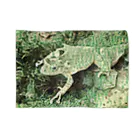 Fantastic FrogのFantastic Frog -Paper Money Version- Blanket