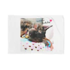 ❊ おぶ(⑉་ ⍸ ་⑉) のおみせ ❊の保護猫チャリティ🐾 Blanket