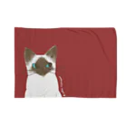 cafe umbrellasippo 〜森の中の小さな家〜のシャム猫のいっちゃん Blanket
