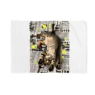 2654の仔猫のtiro  Blanket