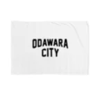 JIMOTO Wear Local Japanの小田原市 ODAWARA CITY Blanket