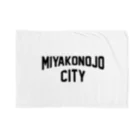 JIMOTO Wear Local Japanの都城市 MIYAKONOJO CITY ブランケット