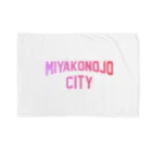 JIMOTOE Wear Local Japanの都城市 MIYAKONOJO CITY Blanket