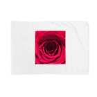 mitchi77のROSE1 Blanket