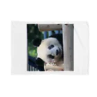 gackeyのひょっこり PANDA Blanket